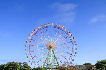 国営ひたち海浜公園