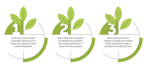 Eco-friendly horizontal infographic with 3 steps