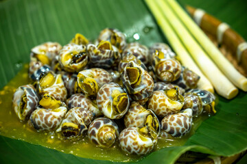 Steamed Spotted Babylon Blanching (Fresh Sea Babylonia Areolata Shell Boiled) served with passion...