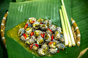 Steamed Spotted Babylon Blanching (Fresh Sea Babylonia Areolata Shell Boiled) served with passion...