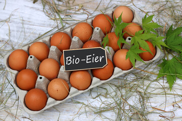 Eierkarton mit Bio-Eiern. 