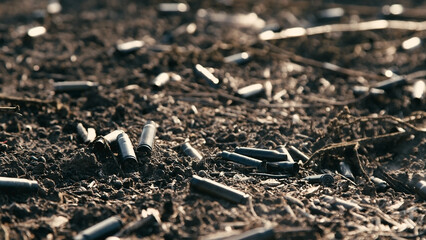 A scorched field after a battle with a machine gun shell. Field with small sprouts of plants. War...