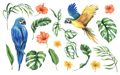 Tropical palm leaves, monstera and flowers of plumeria, hibiscus, bright with blue-yellow macaw parrot. Hand drawn watercolor botanical illustration. Set of isolated elements on a white background.