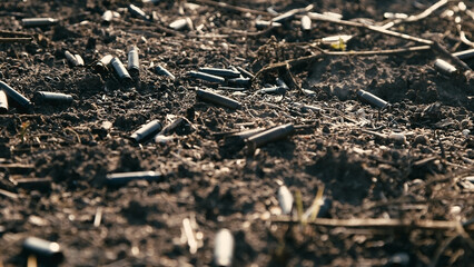 A scorched field after a battle with a machine gun shell. Field with small sprouts of plants. War...