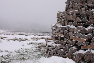 Pile of firewood covered with snow and hoarfrost on winter day