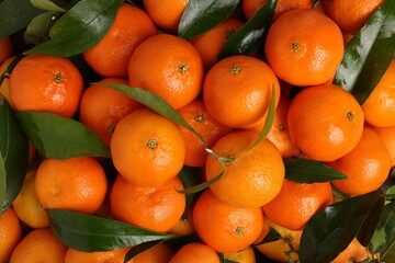 Delicious tangerines with leaves as background, top view