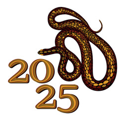 2025. Chinese year of snake. Bright isolated illustration