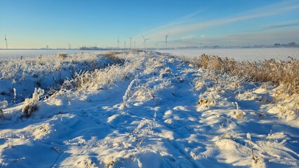 Fototapeta na wymiar Winterliche Landschaft