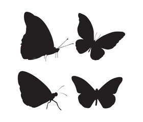 Naklejka premium vector collection of butterfly silhouettes