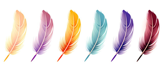 Colorful collection feathers isolated on white background. Rainbow Feather Assortment on White