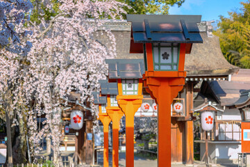 Hirano-jinja is the site of a cherry blossom festival annually since 985 during the reign of...