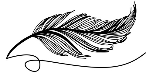 Obraz premium line art of feather sillhouette