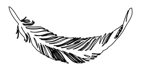 line art of feather sillhouette