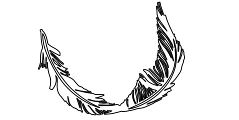 line art of feather sillhouette
