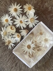 Fototapeta na wymiar Flowers white dried 
