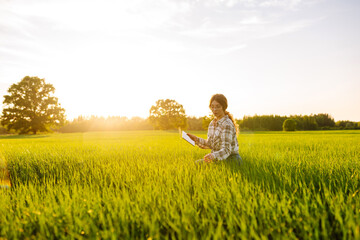 A woman farmer holds a digital tablet checking the quality of the crop in a sunset field. The...