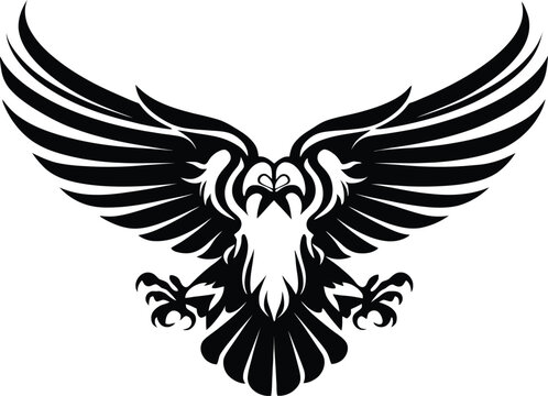 Eagle, sketch vector image
