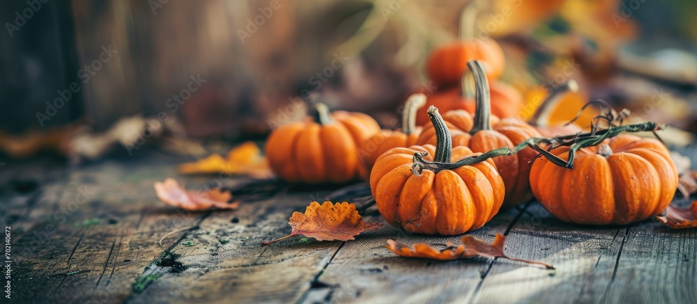 Poster autumn and thanksgiving table decoration with orange mini pumpkins. with copy space image. place for
