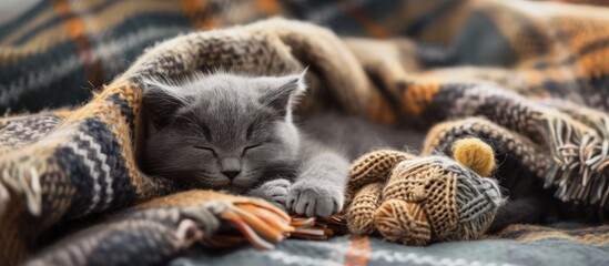 gray kitten sleeping on gray plaid wool blanket with tassels embracing soft knitted toy. with copy space image. Place for adding text or design