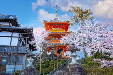 Kiyomizu-dera templein Kyoto, Japan with beauiful full bloom sakura cherry blossom in spring