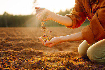 Women's hands sort through black soil in the field. A woman farmer checks the quality of the soil. Ecology, agriculture concept.