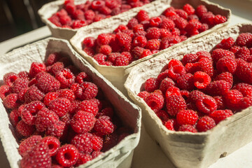 Fresh raspberries in paper market containers