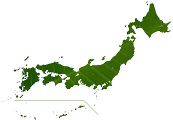 大きな緑の葉っぱで描いた、葉脈が美しい日本地図