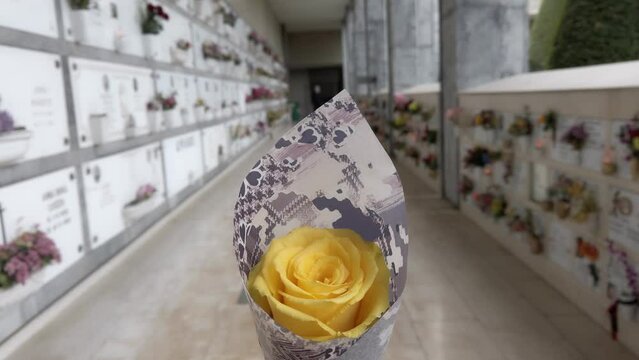 walking point of view bring flowers to the dead in a long cemetery corridor with yellow rose in hands