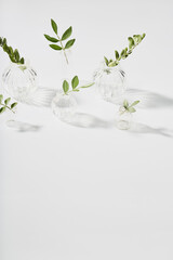 minimalistic composition of a glass vase and a green leaf