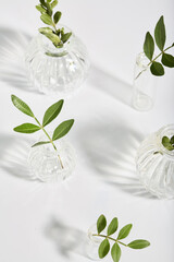 minimalistic natural composition. small vases on a white background