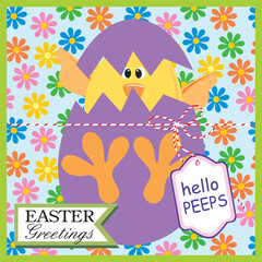 easter greeting card with chicken and eggshell