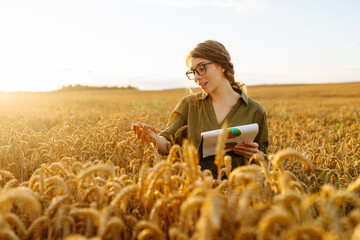 Happy woman farmer with a clipboard in a wheat field in the countryside, checking the growth of the...