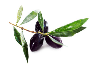 Ripe black olives with leaves