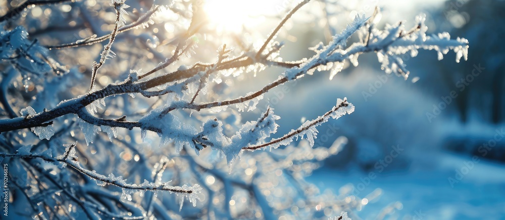 Aufkleber Frosted tree branches covered with ice and icicles on white snowy background Tallinn Estonia Selective focus blurred background. with copy space image. Place for adding text or design