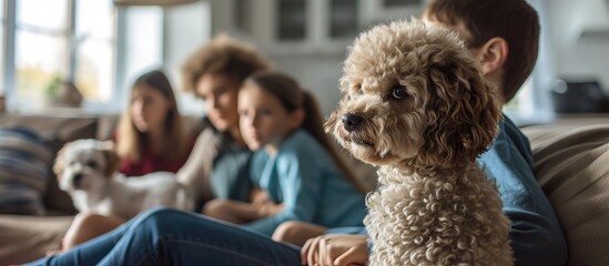 Family sad at home in a quarrel on the couch dad mom teenage son preschool daughter poodle dog Difficulties in raising children family psychology. with copy space image - obrazy, fototapety, plakaty