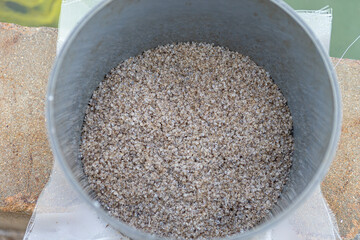 baby oyster ready to grow at sea-Oyster farming farming of bivalve-