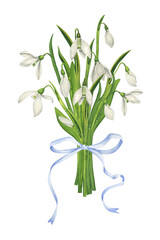 Bouquet of snowdrops with a light blue ribbon. Delicate spring watercolor illustration. Wild spring flowers. Botanical realistic illustration