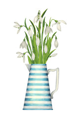 Bouquet of snowdrops in a striped vintage jug. Spring watercolor rustic illustration