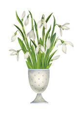 Bouquet of snowdrops in an egg cup. Cute spring watercolor village illustration