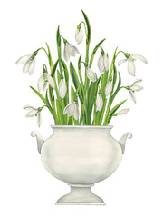 Bouquet of snowdrops in a white porcelain tureen. Vintage botanical illustration. Flower arrangement on white background