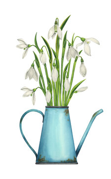 Bouquet of snowdrops in a vintage rusty watering can. Cute spring watercolor village illustration
