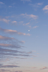 Naklejka na ściany i meble morning moon at dawn. blue sky at dawn with pink clouds and moon
