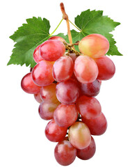 Pink grapes with green leaves isolated on white background, clipping path