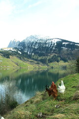 Fototapeta na wymiar Lac de wagital, suisse