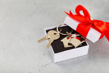 House keys with a keychain in the shape of a house on a textured background.Design element.Real...