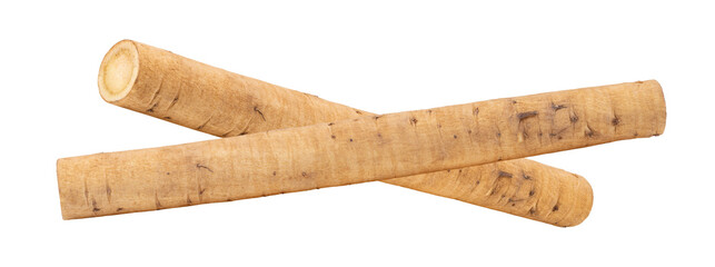 burdock roots or kobo isolated on transparent png