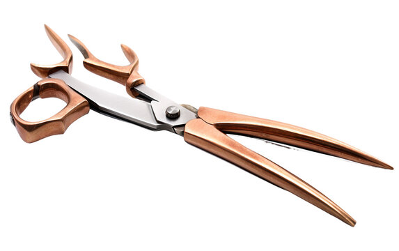 Realistic Shears On Transparent Background.