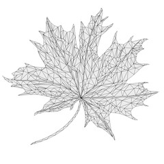 Autumnal leaf Maple outline low-polygon mosaic, kaleidoscope, vector illustration editable hand drawn