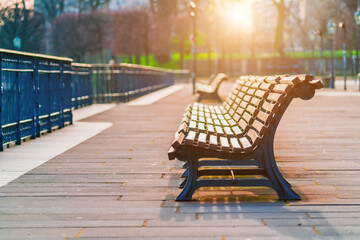An empty park bench surrounded by trees and greenery in the sunlight. - obrazy, fototapety, plakaty