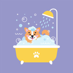 Dog pet grooming. Caring about dog Corgi. Pet washing in bath with watering can for shower. Flat vector illustration